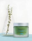 SkinCeuticals Phyto Corrective Mask