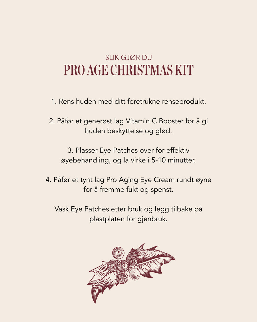 Elixir Christmas Kit: Pro Aging