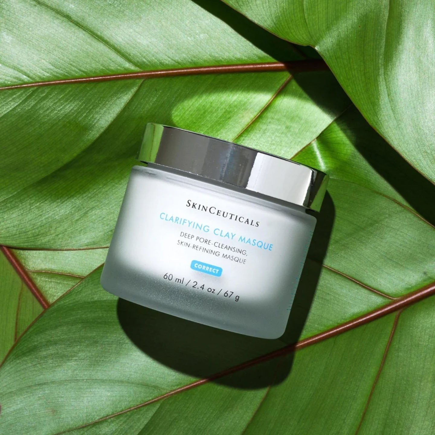 SkinCeuticals Clarifying Clay Masque