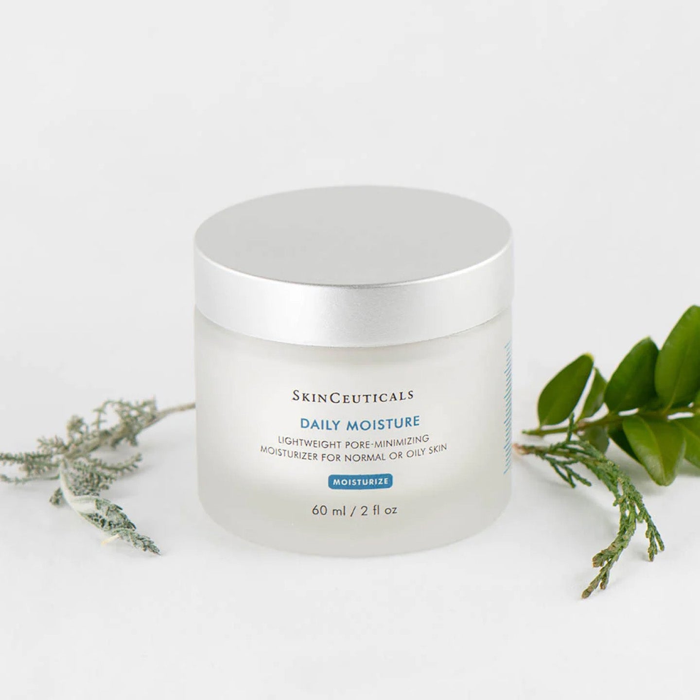 SkinCeuticals Daily Moisture