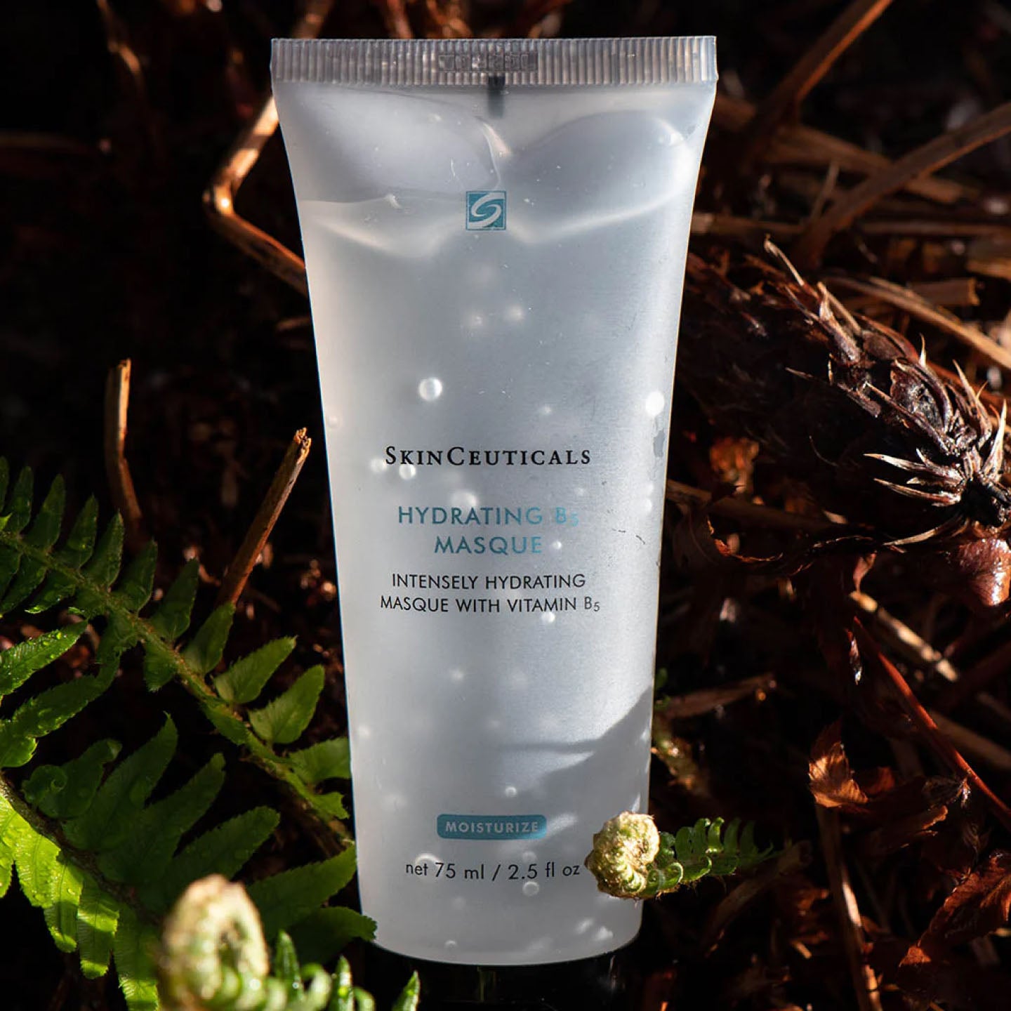SkinCeuticals Hydrating B5 Masque