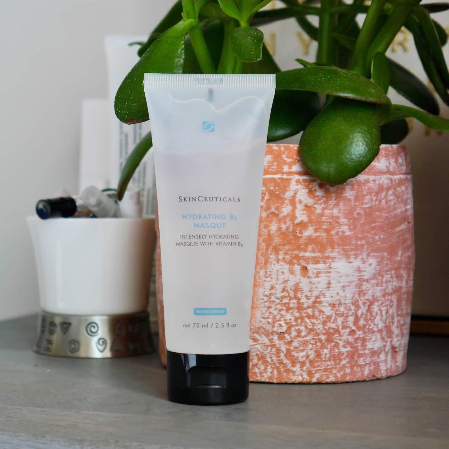 SkinCeuticals Hydrating B5 Masque