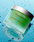 SkinCeuticals Phyto Corrective Mask